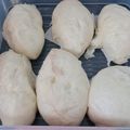 Cooksnap dari TeoFani FunPet House Bengkulu untuk resep Bakpao Ny. Liem