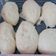 Cooksnap dari TeoFani FunPet House Bengkulu untuk resep Bakpao Ny. Liem