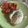Mommyluvs2cook's cooksnap of when they made Avocado toast and 🥚.