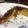 El cooksnap de Alicia Alvarez cuando hizo Torta marmolada esponjosa y fácil.