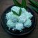 Cooksnap dari ayunabillarumaropen untuk resep Klepon#Maree