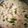 Cooksnap Cik Bam Bam semasa beliau membuat Chicken buttermilk.