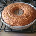El cooksnap de silara13 cuando hizo Anillo de naranja en licuadora! (Súper esponjoso).