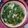 Cooksnap dari Meliana Suci untuk resep Sop Bening Bayam Wortel