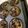 Cooksnap dari Sansan Chu untuk resep Muffin pisang praktis
