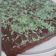 Cooksnap dari Rafael Kevin untuk resep Brownies Panggang