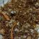 Cooksnap dari Agnesia Evita untuk resep Bihun Goreng Ala Solaria