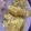 El cooksnap de Sara Lopez cuando hizo Patatas a lo Pobre (en microondas).