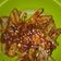 Cooksnap dari Sesi Maryani untuk resep Ceker pedas manis