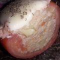 El cooksnap de Meell Gonzalez cuando hizo Tomate relleno al horno fitness.