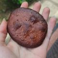El cooksnap de Foxy Taku cuando hizo Galletas proteicas de chocolate y avena.