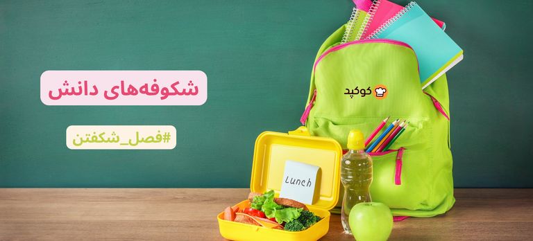 	چالش شکوفه‌های دانش🎒🚌