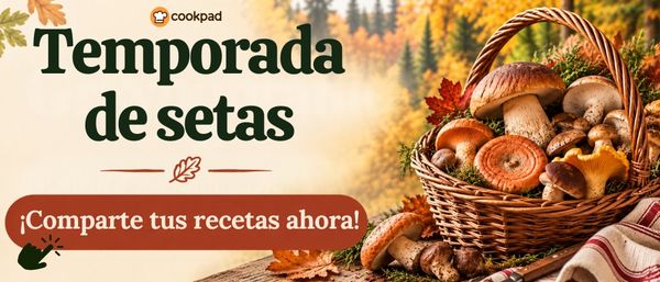 Temporada de setas 🍄🍂