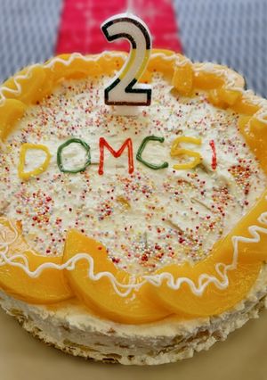Barackos-mascarponés túrótorta 🍰 recept fotója