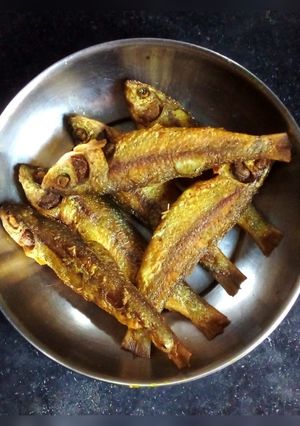 বাটা মাছ ভাজা (bata mach bhaja recipe in Bengali) রেসিপির প্রধান ছবি