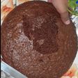 Basic chocolate sponge
