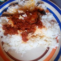 A picture of Rice and stew.