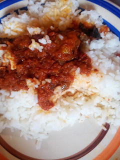 A picture of Rice and stew.