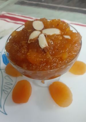 A picture of Khubani Ka Meetha.