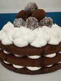 Naked cake con praline al cocco