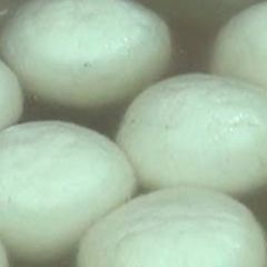 A picture of Spongy Rasgulla.