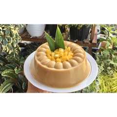 A picture of Puding Santan Gula Merah.