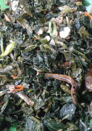 Foto resep Tumis Daun Pepaya petai