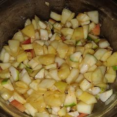 A picture of Fruit chat.