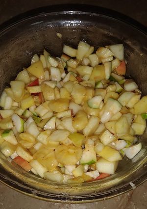 A picture of Fruit chat.