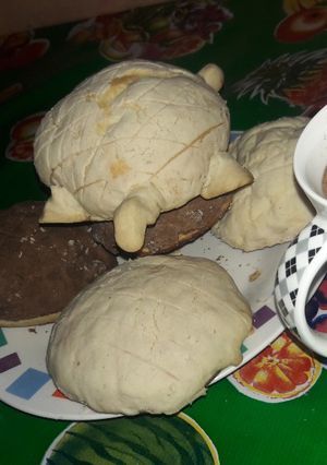 Una foto de Conchas
