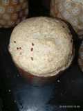 Pan integral