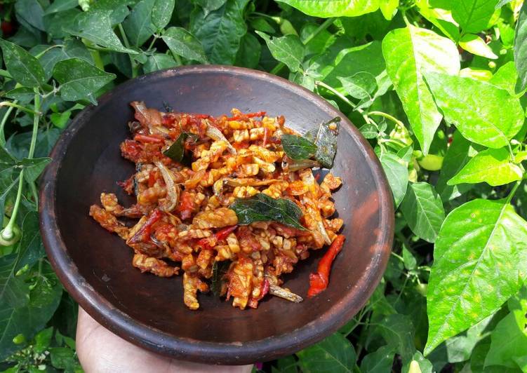 Bagaimana Menyiapkan Sambal tempe teri daun kari yang Bisa Manjain Lidah