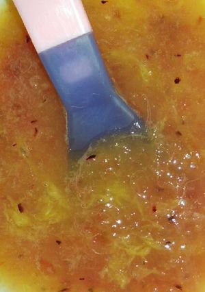 Foto resep MPASI Jeruk + plum