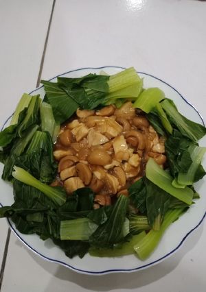 Foto resep Tumis ayam jamur pokcoy