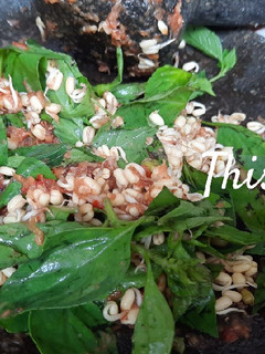 Foto resep Sambal Tauge