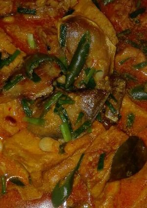 Foto resep Ikan pari, tahu, tempe bumbu santan pedas
