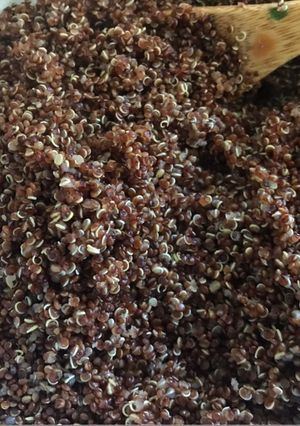 Una foto de Quinoa negra