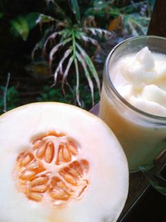 Foto resep Sop Timun Suri