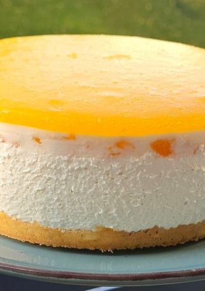 Kókuszos barackos torta (cukormentes) recept fotója