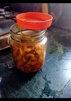 आंवले का अचार (Awle la achar recipe in hindi) रेसिपी मुख्य फोटो