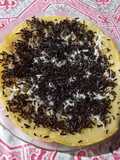 Lempeng terigu coklat keju