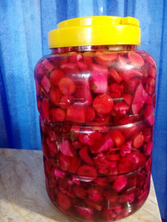 عکسی از دستور ترشی هفت بیجار
