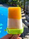 Glace maison mangue yaourt