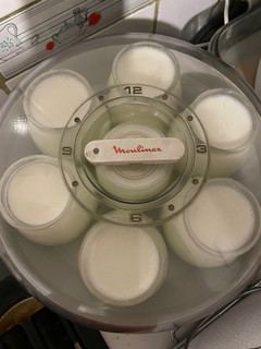Una foto de Yogurt Natural Extra Firme en Yoghurtera Moulinex