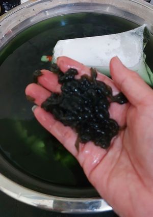 Foto resep Cendol Kecebong
