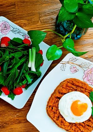 عکسی از دستور میرزا قاسمی گیلانی