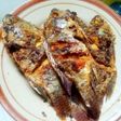 MUJAER GORENG weeenaakk