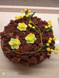 Torta mimosa al cioccolato