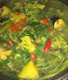 canh cá quả nấu chua