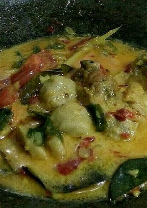 Foto resep Opor Ayam Bakso